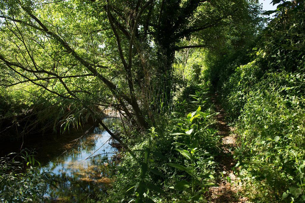 Recanto Da Ribeira Casas De Campo Monchique Ngoại thất bức ảnh