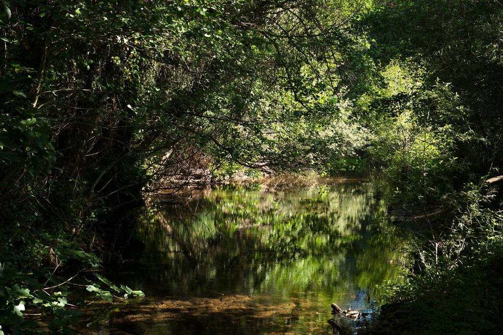 Recanto Da Ribeira Casas De Campo Monchique Ngoại thất bức ảnh